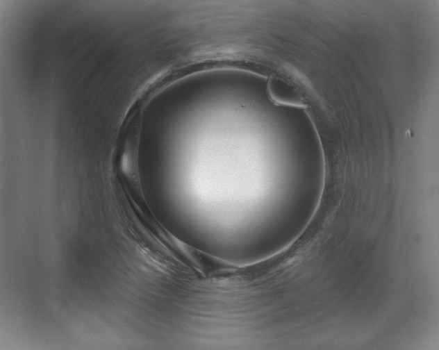 X0000070161218200606021023