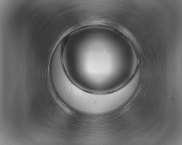 X0000070161234200606021023