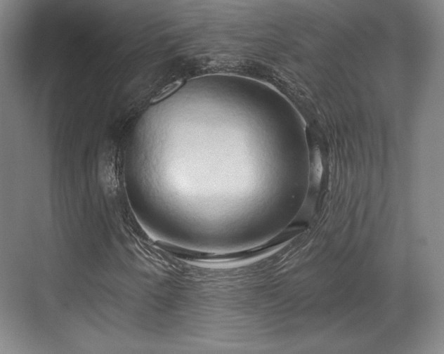 X0000070161250200606021022