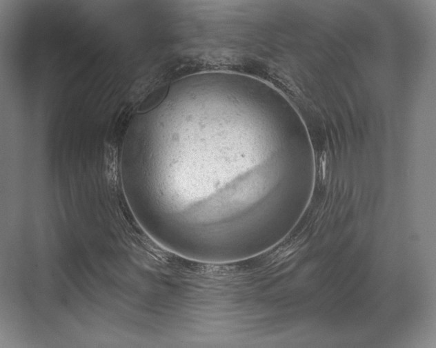 X0000070161251200606021022
