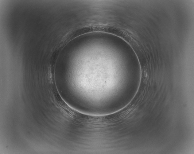 X0000070161252200606021022