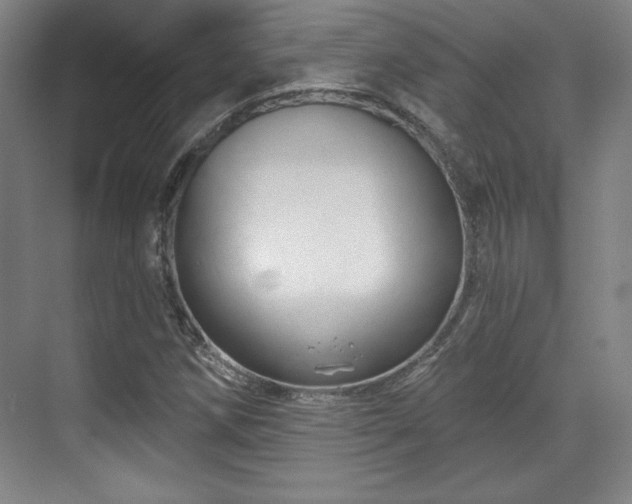 X0000070161258200606021022