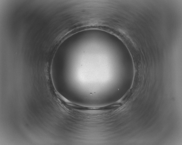 X0000070161265200606021022
