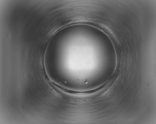 X0000070161273200606021022