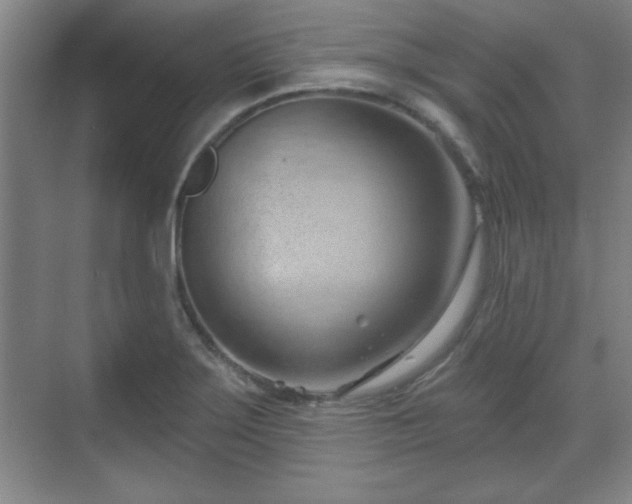 X0000070161275200606021022
