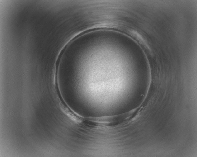 X0000070161276200606021022