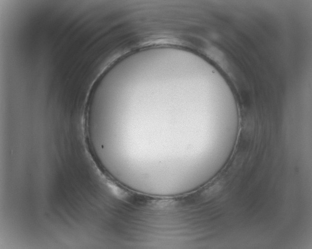 X0000070161282200606021022