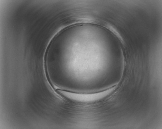 X0000070161283200606021022
