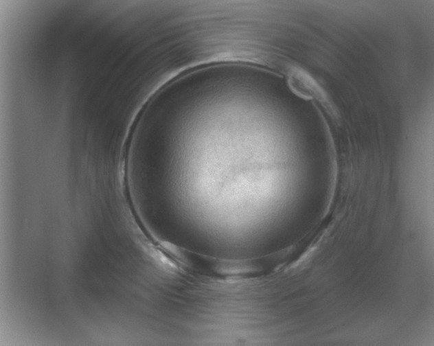 X0000070161284200606021022