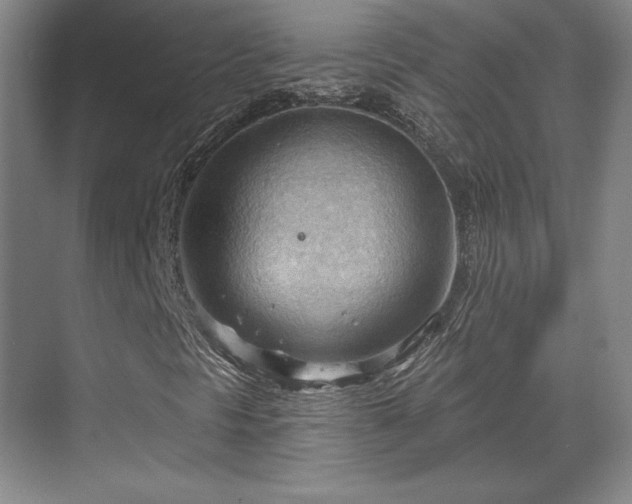X0000070161297200606021021