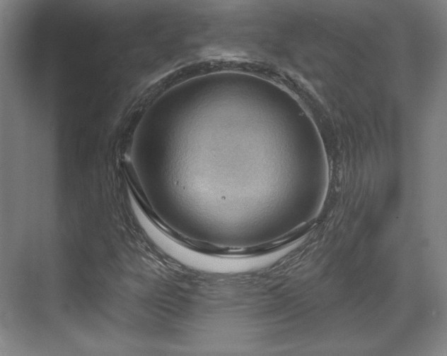 X0000070161303200606021021