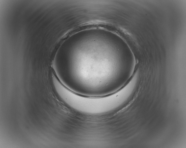 X0000070161313200606021021