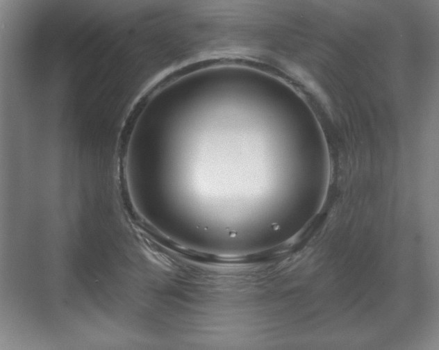 X0000070161316200606021021