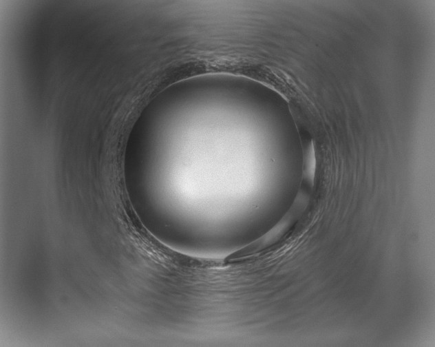 X0000070161345200606021021
