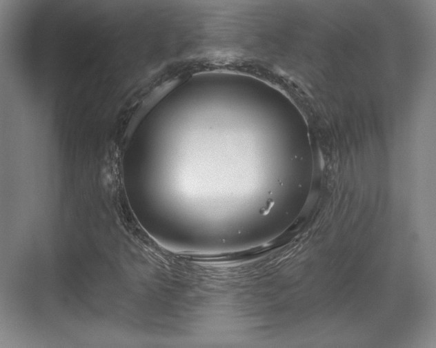 X0000070161349200606021021