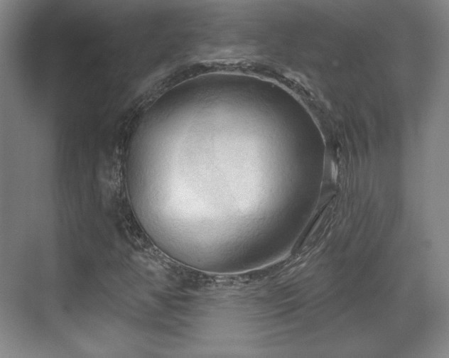 X0000070161350200606021020