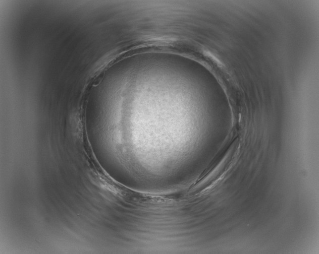 X0000070161354200606021020