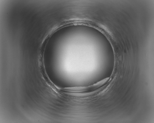 X0000070161357200606021020