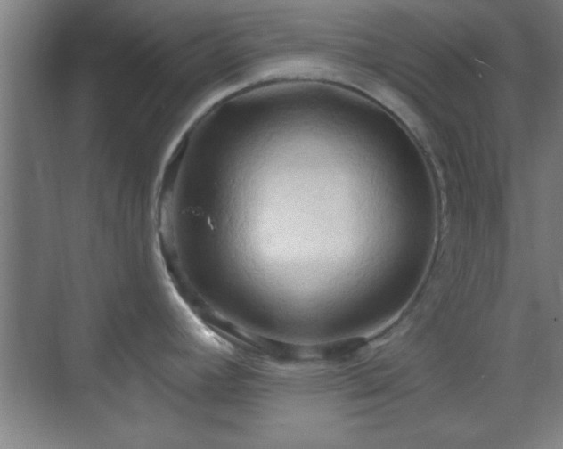 X0000070161392200606021020