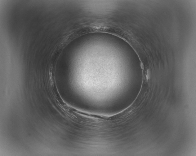 X0000070161396200606021019