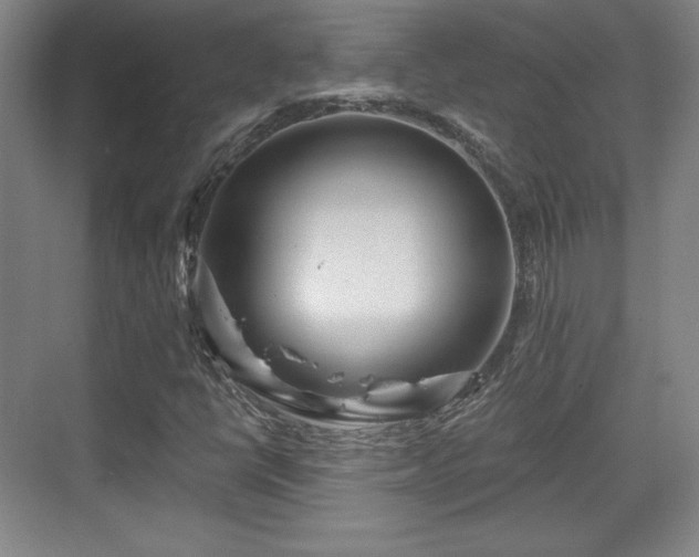 X0000070161398200606021019