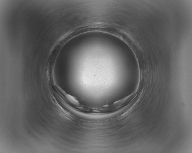 X0000070161402200606021019