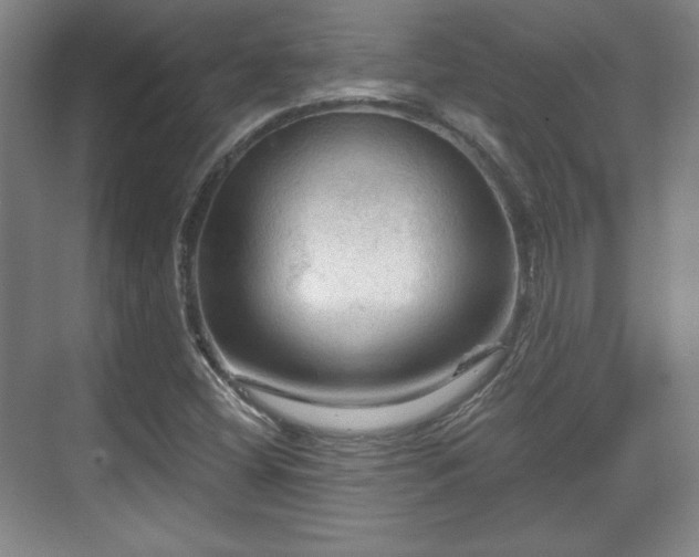 X0000070161404200606021019