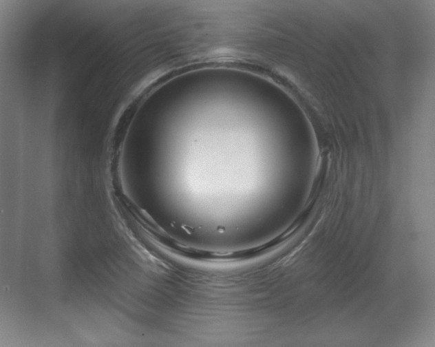 X0000070161410200606021019