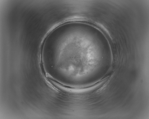 X0000070161413200606021019