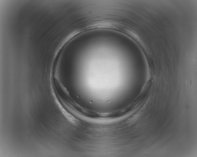 X0000070161426200606021020