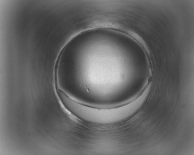 X0000070161439200606021020