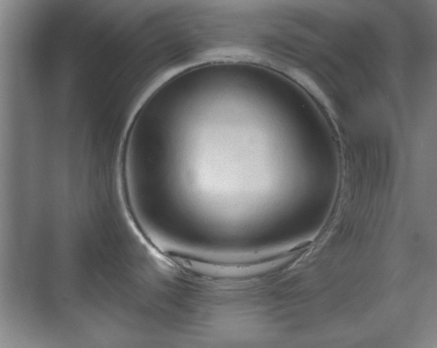 X0000070161440200606021020