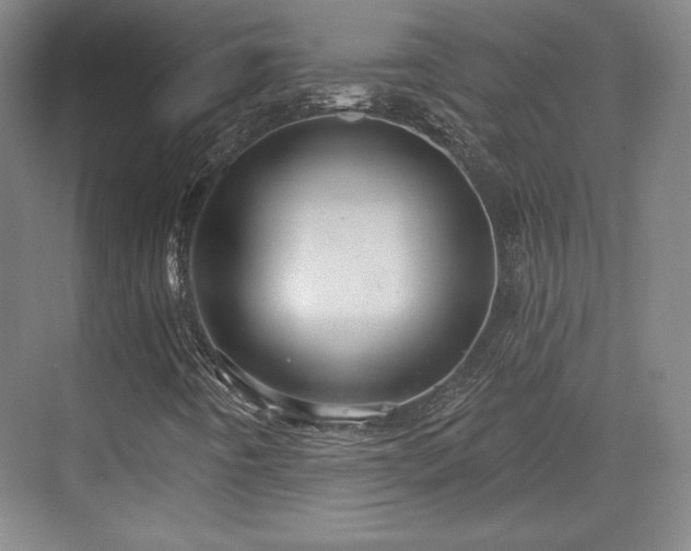 X0000070161442200606021019