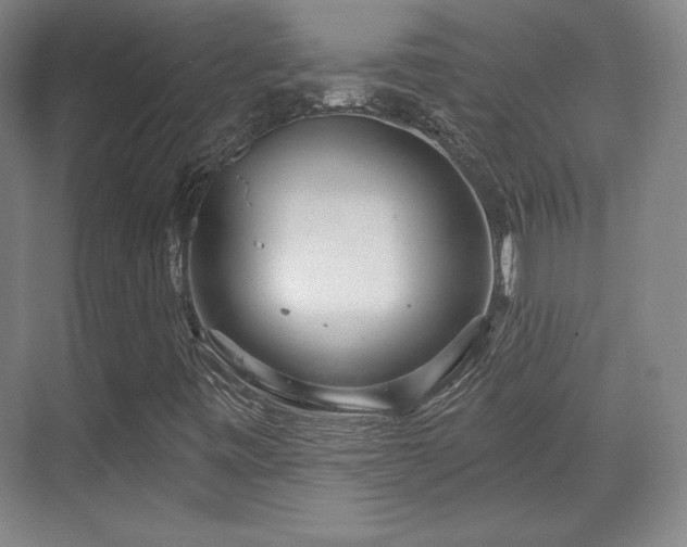 X0000070161443200606021019