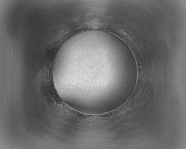 X0000070161446200606021019