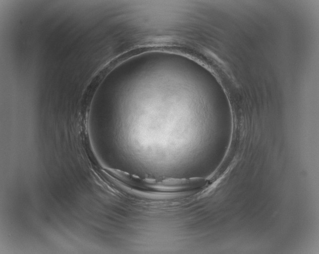 X0000070161449200606021019