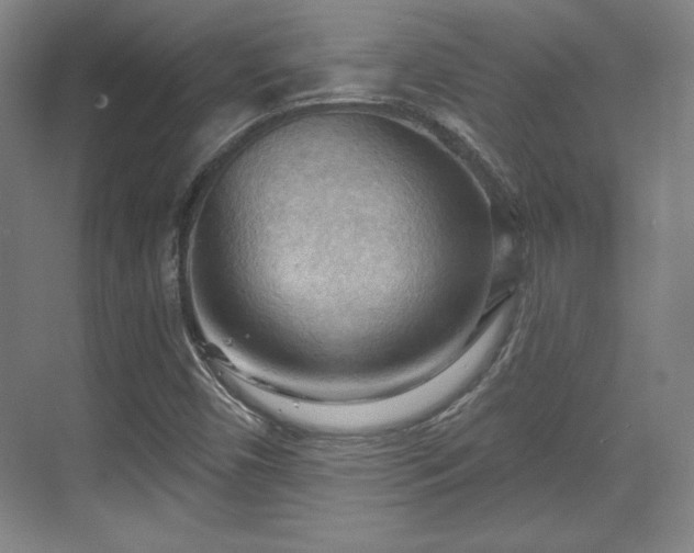 X0000070161450200606021019