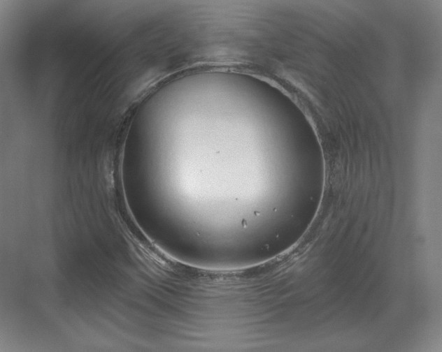 X0000070161451200606021019