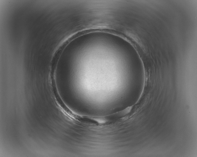 X0000070161452200606021019