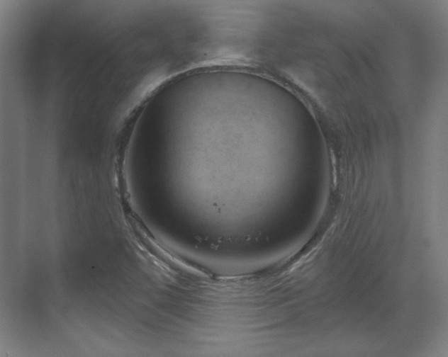 X0000070161455200606021019