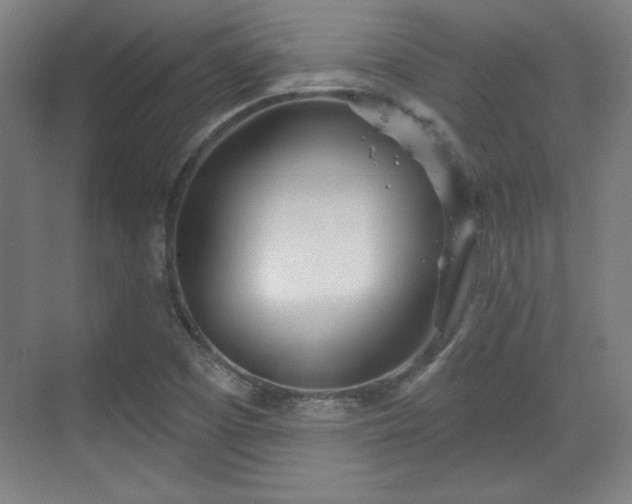 X0000070161457200606021019