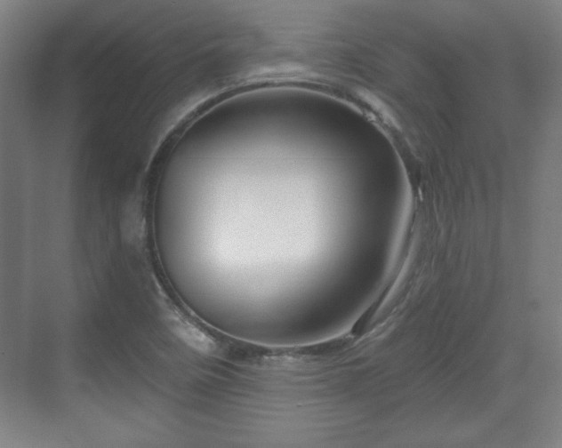 X0000070161458200606021019