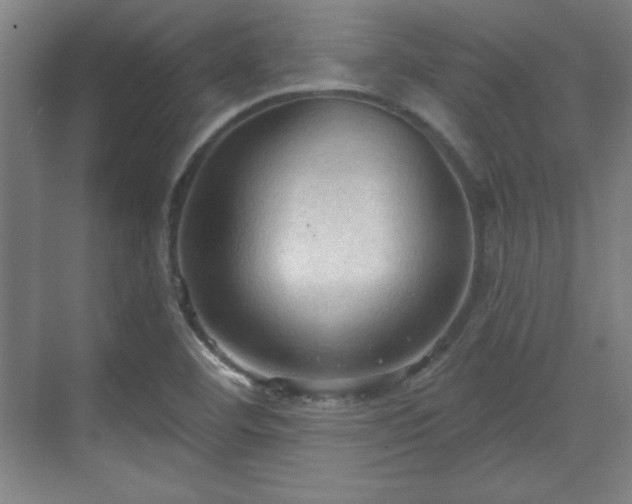 X0000070161460200606021019