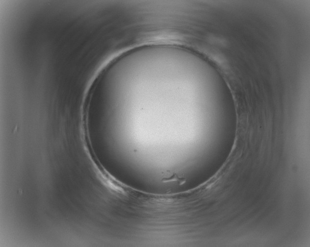 X0000070161470200606021018