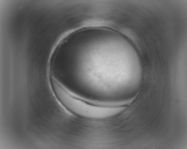 X0000070161472200606021018