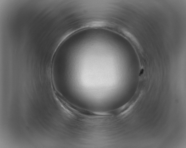 X0000070161473200606021018