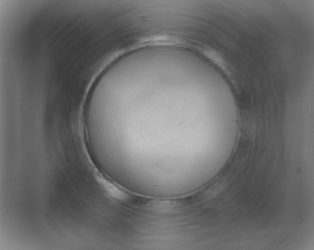 X0000070161474200606021018