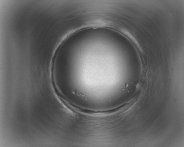 X0000070161477200606021018