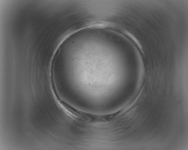 X0000070161483200606021018