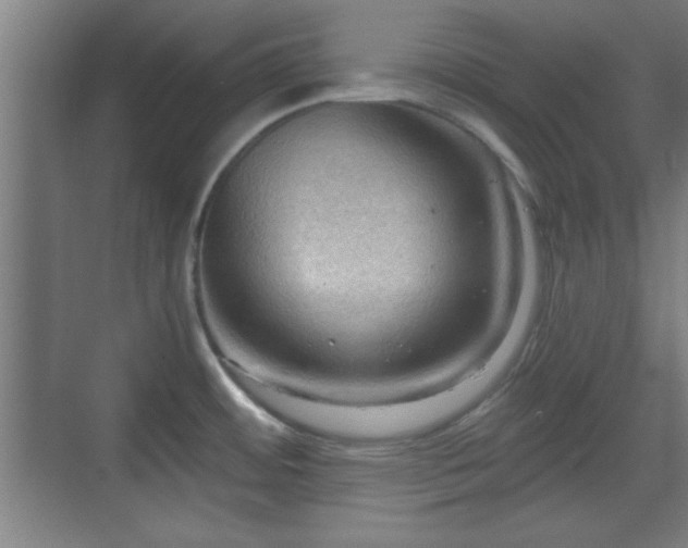 X0000070161484200606021018